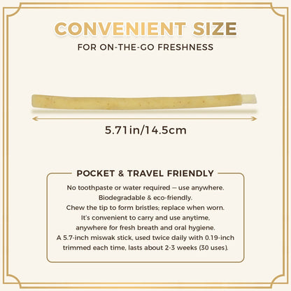 12 Pack Natural Miswak Sticks, Organic Wooden Miswak Toothbrush for Healthy Gums & Fresher Breath, No Toothpaste Required, Original Flavor