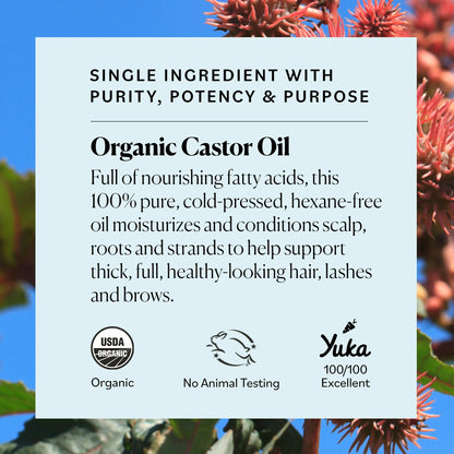 Organic Castor Oil to Condition for Hair, Lashes, and Brows, 6 Fl Oz