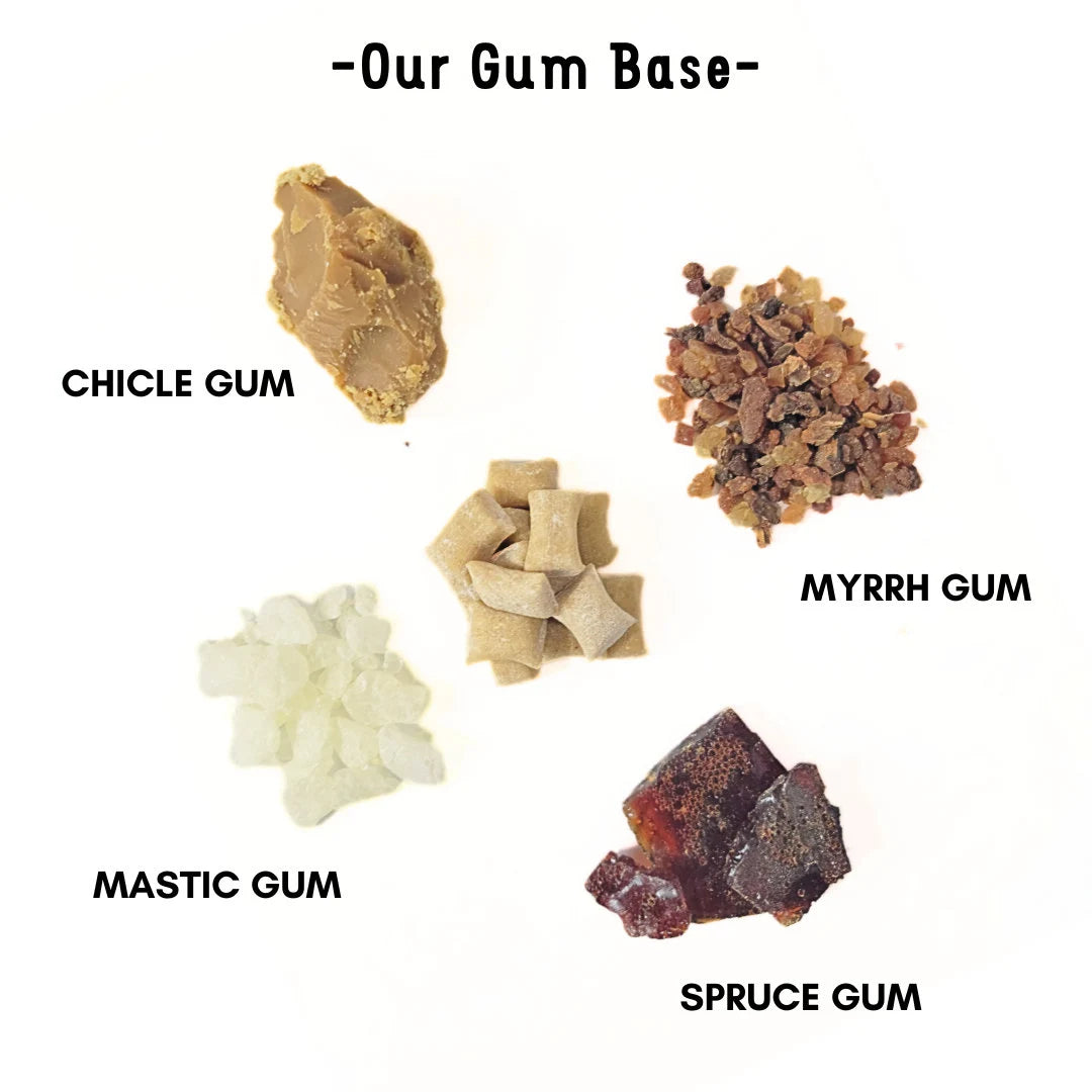 OFFICIAL Nathan & Sons - Underbrush Gum - MASTIC MINT Remineralizing Chewing Gum with Nano-Hydroxyapatite