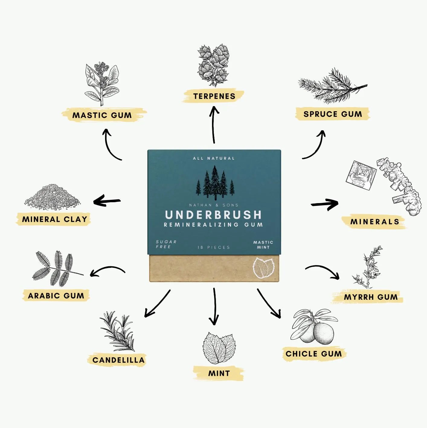OFFICIAL Nathan & Sons - Underbrush Gum - MASTIC MINT Remineralizing Chewing Gum with Nano-Hydroxyapatite