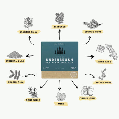 OFFICIAL Nathan & Sons - Underbrush Gum - MASTIC MINT Remineralizing Chewing Gum with Nano-Hydroxyapatite